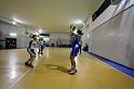 Basket 242064